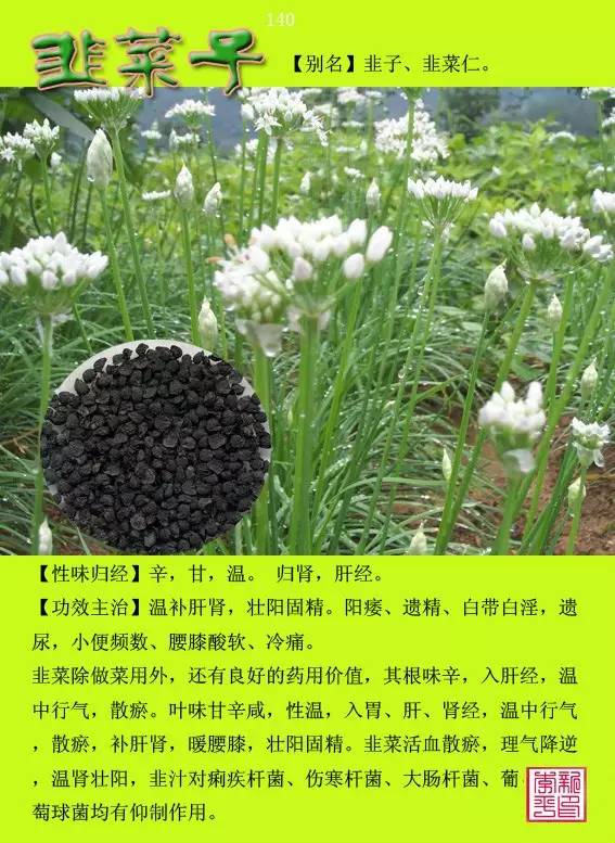 中草药图谱查询 5f269bee636f445b9f0d4f1bceb4705a.jpeg