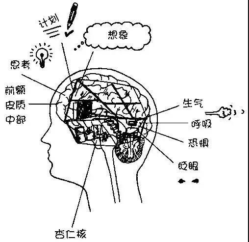 64b359558fe449719e747a43ff361d08.jpeg