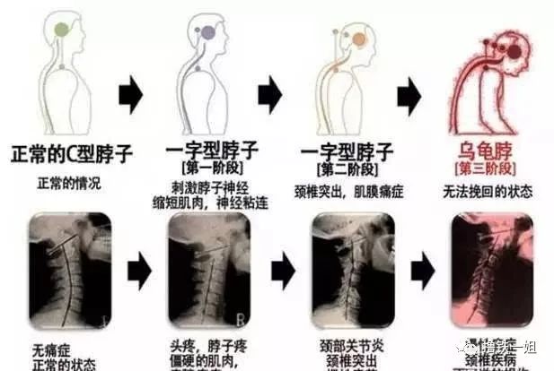 683c50d20c984ec6ab605f9ead4399cf.jpeg