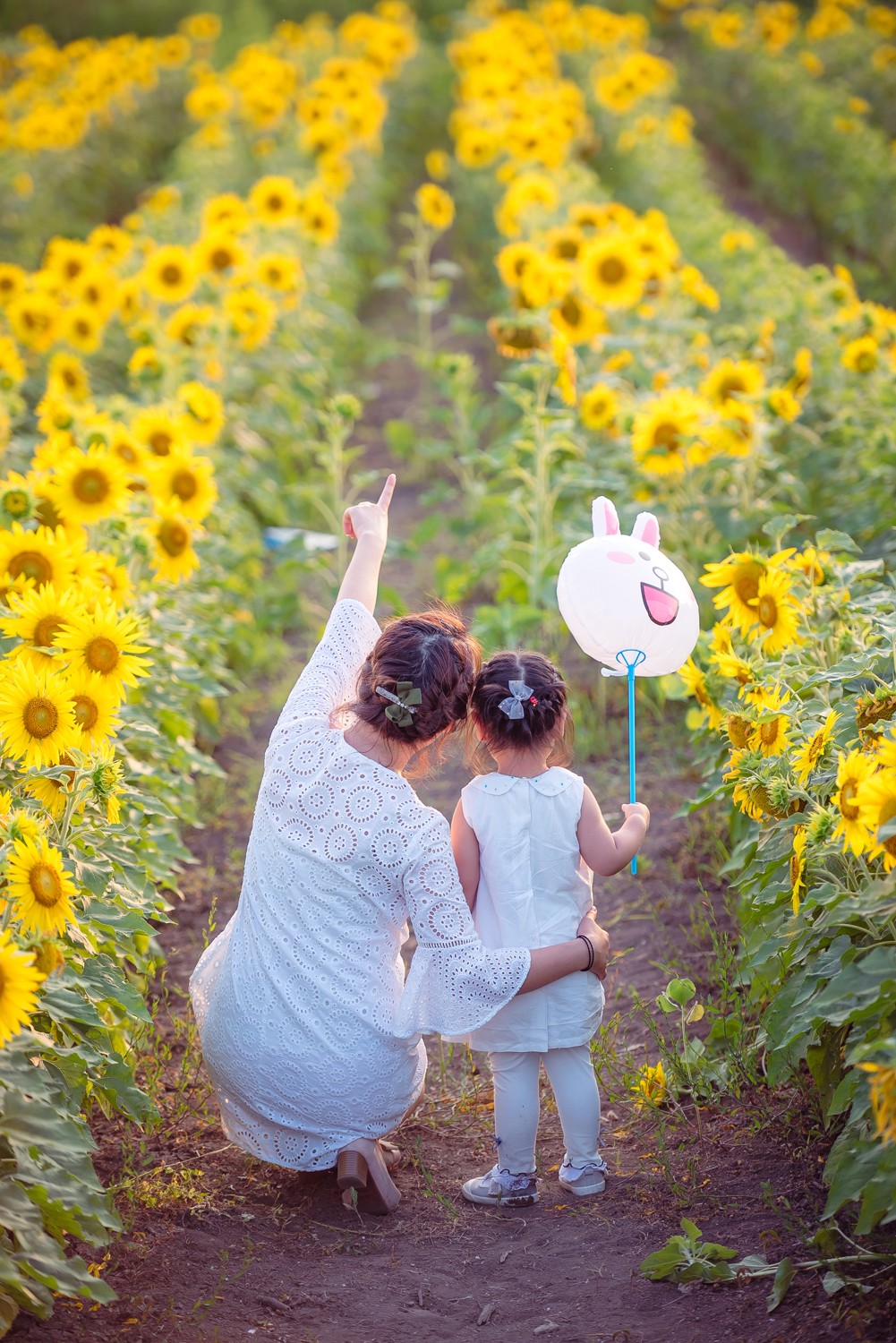 潍坊一路向北!邂逅大片向日葵花田.