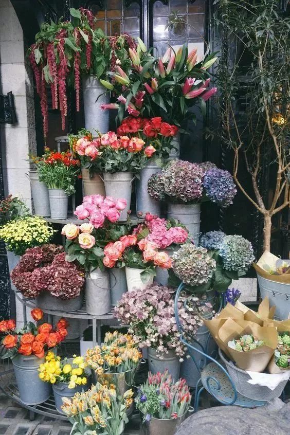 可以爬满墙的花 6c78d442b7034311bc00fe32ee2b5824.jpeg