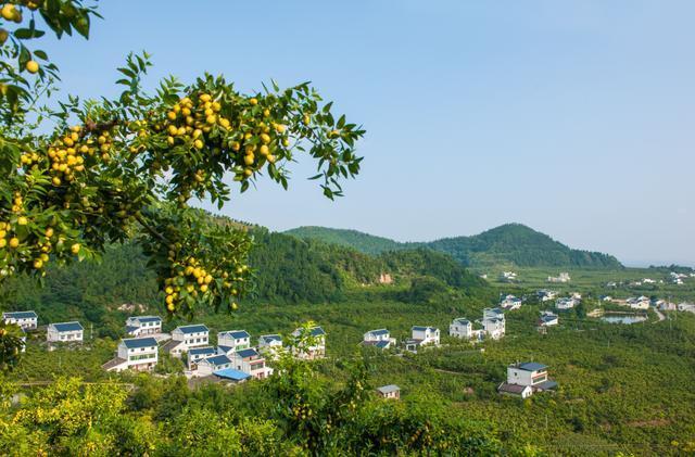 我国将大幅跃升经济总量和城乡居民(3)