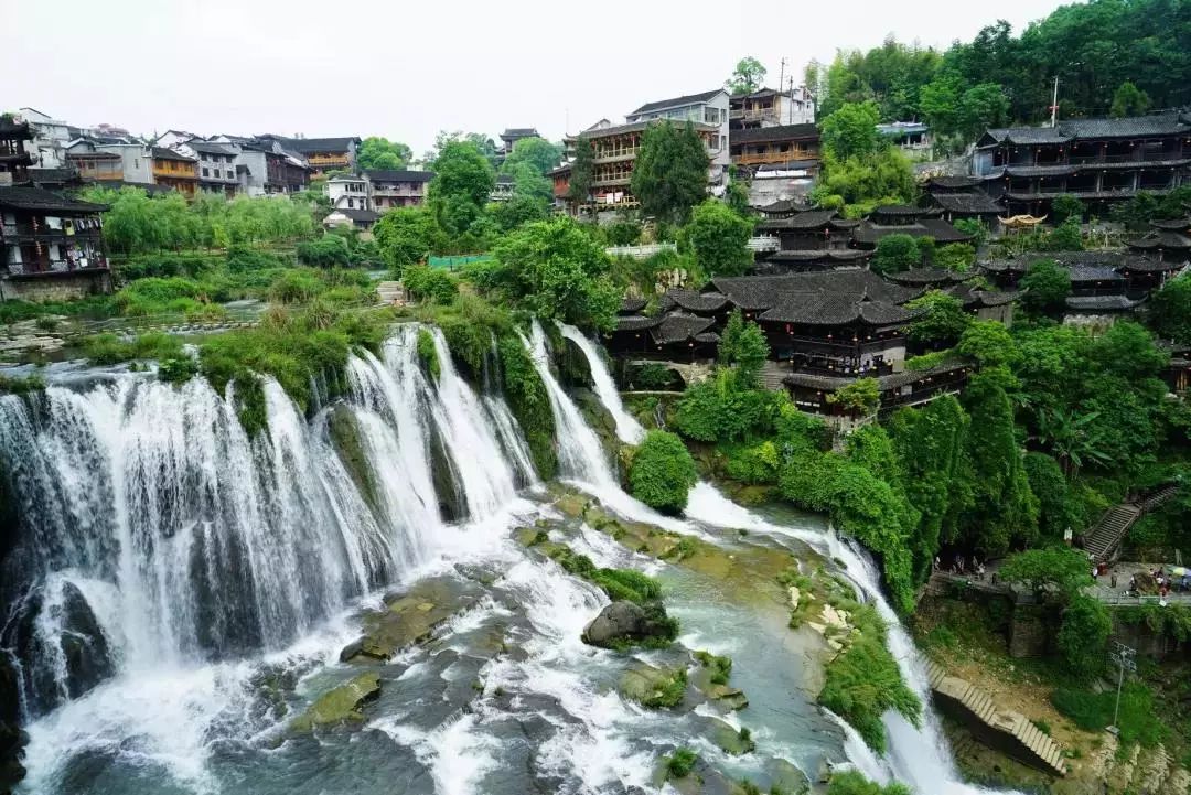 邵阳县河伯乡上阳村总人口_邵阳县河伯岭杜鹃花(2)