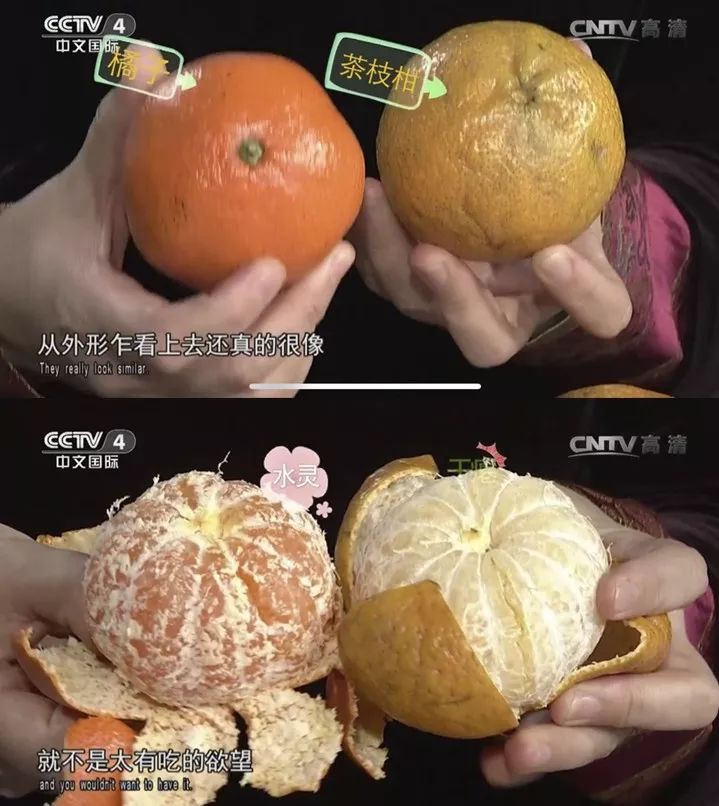 煮陈皮水功效是什么 78c88828c6e344df9572b74881f19ef4.jpeg