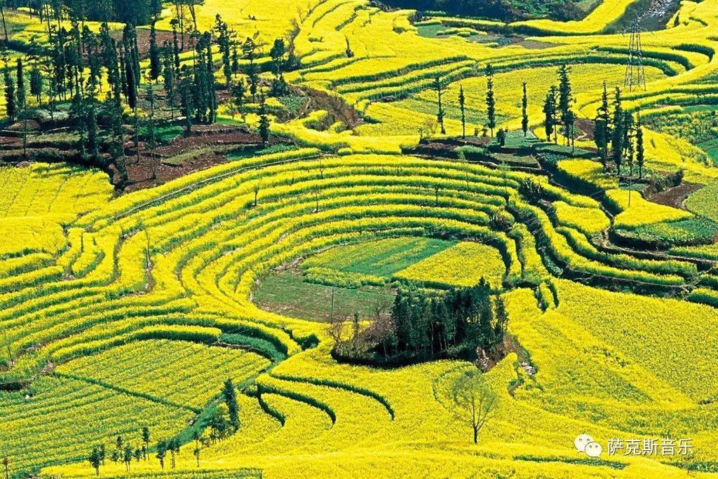 【家乡】韩红经典歌曲(深情中音萨克斯音乐)