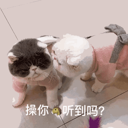 【熊猫头表情包】噢,渣男的味道!