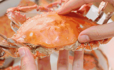 8c3cc32b366f489391bc7c1bf2ee08b2.gif