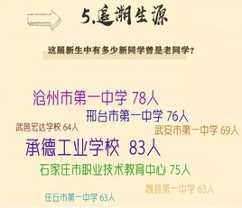 任丘经济总量2019_任丘地图(3)