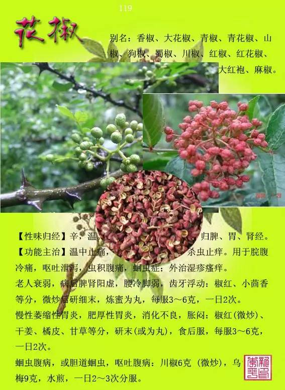 中草药图谱大全下载 90623f0e2d5a418c89b49e07a555c8ae.jpeg