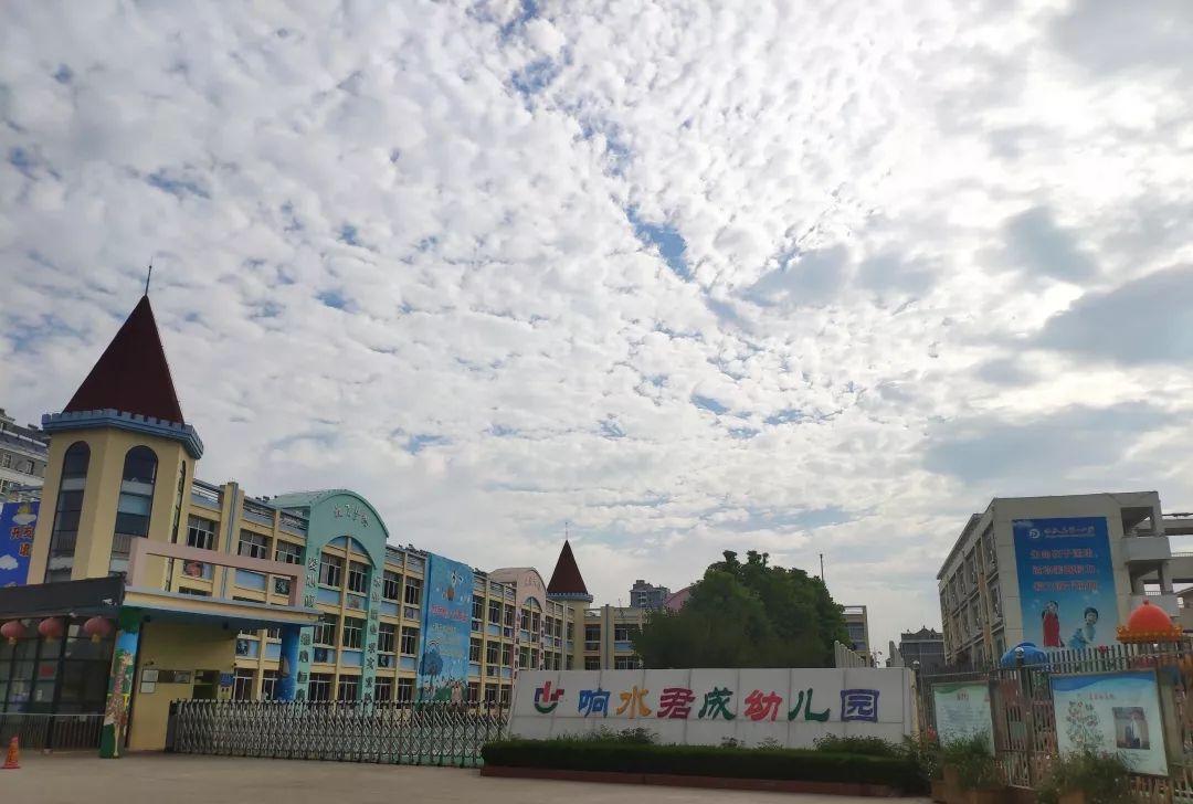 第二篇丨爱诺教育幼儿园教师培训火热进行中!