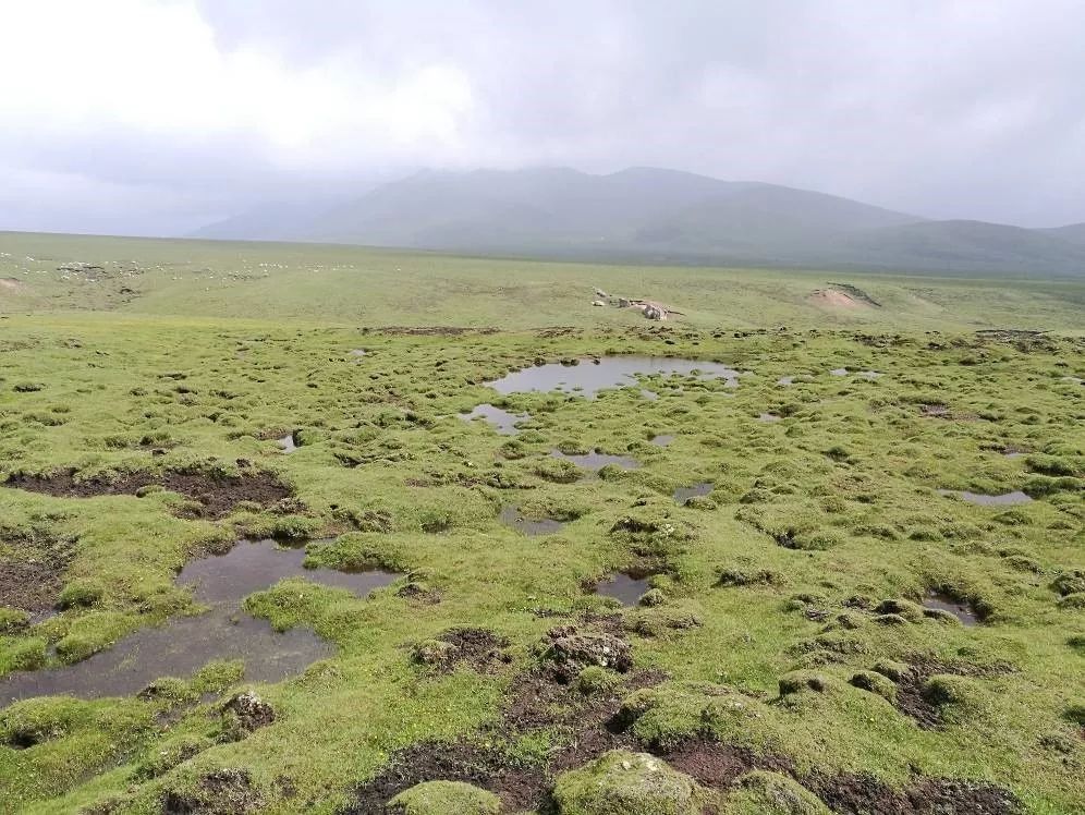 拉脊山地区典型的不良冻土现象—冻胀丘拉脊山地区典型的不良冻土现象