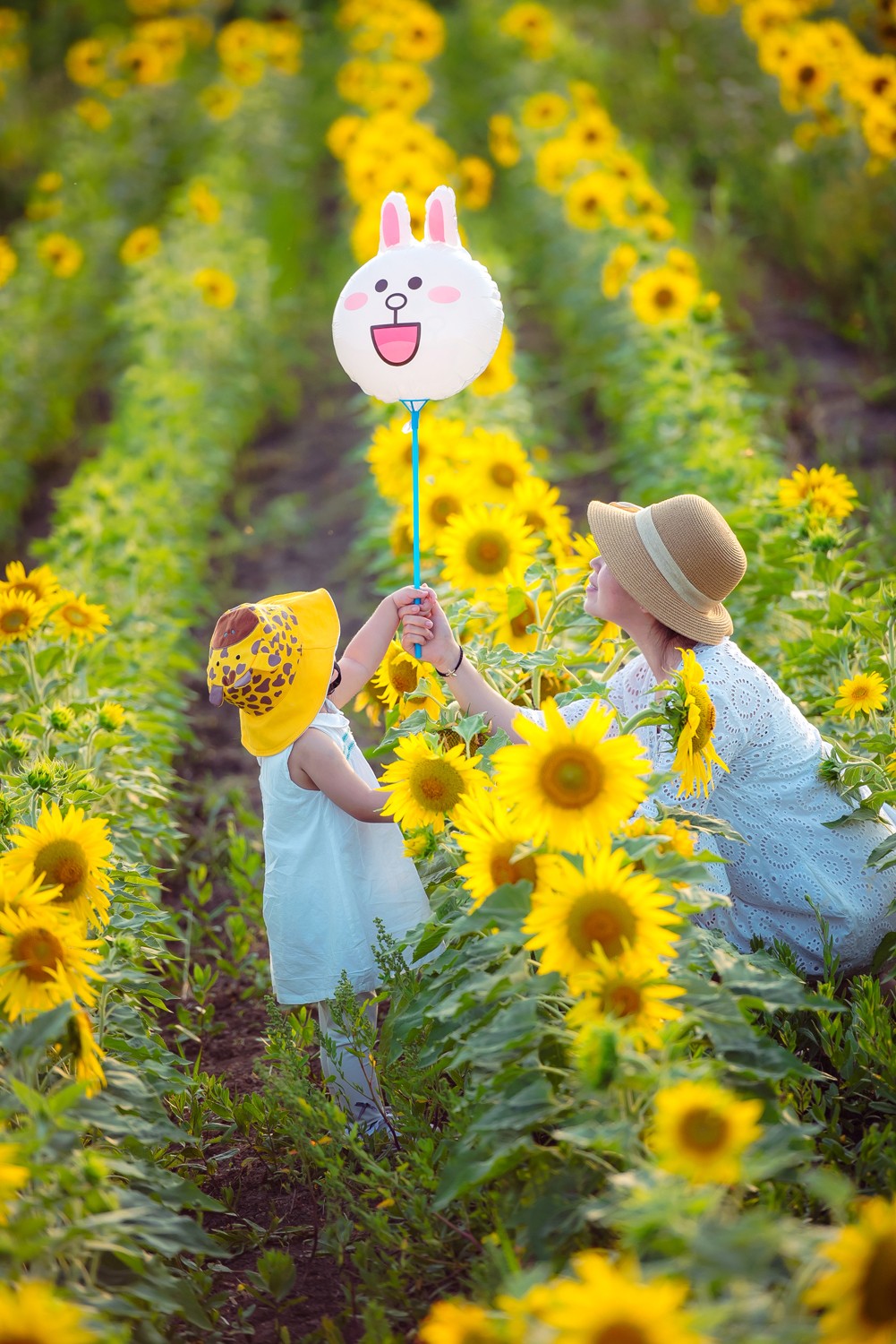 潍坊一路向北!邂逅大片向日葵花田.