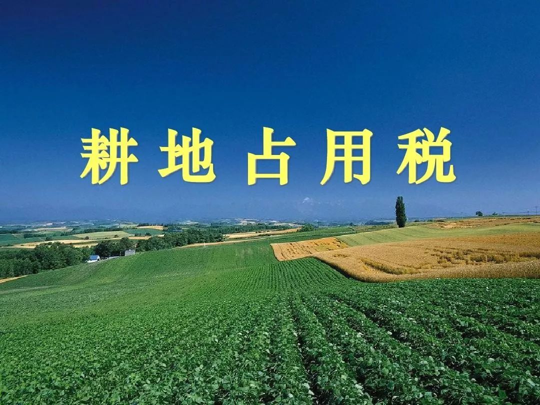 我国人均耕地_我国人均耕地面积图(2)