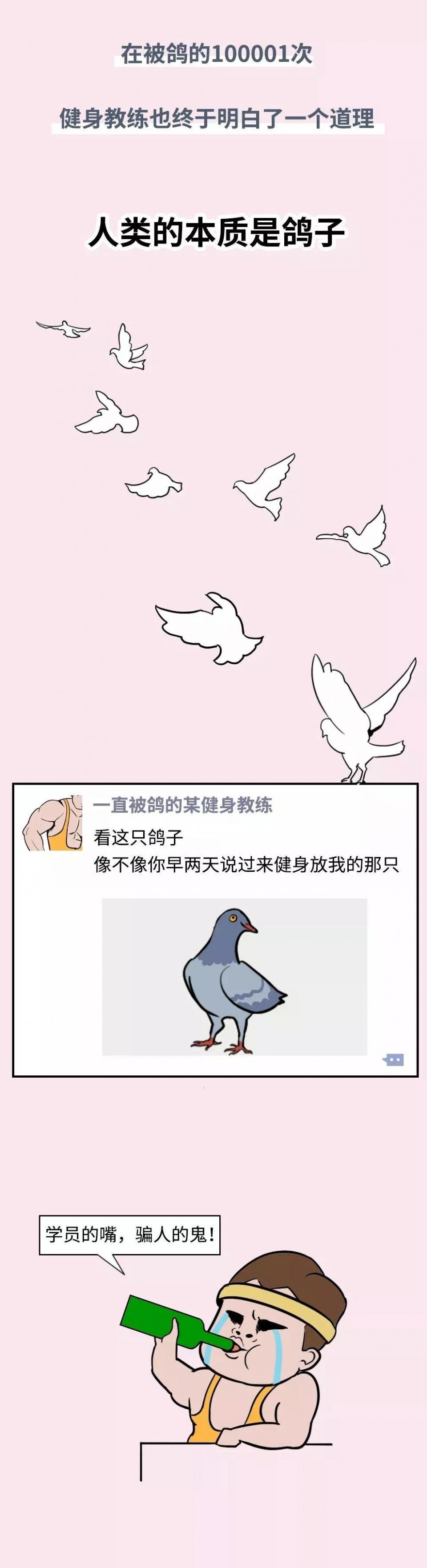 健身房放鸽子图鉴