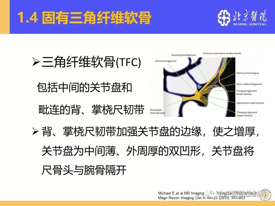 推荐| 三角纤维软骨复合体(tfcc)损伤