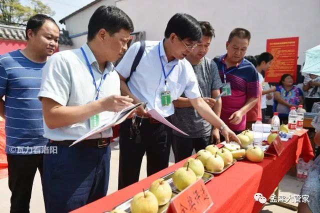 孟津这两场争霸赛火了谁