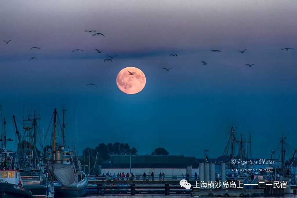 上海中秋赏月好去处 魔都最佳赏月地 横沙岛