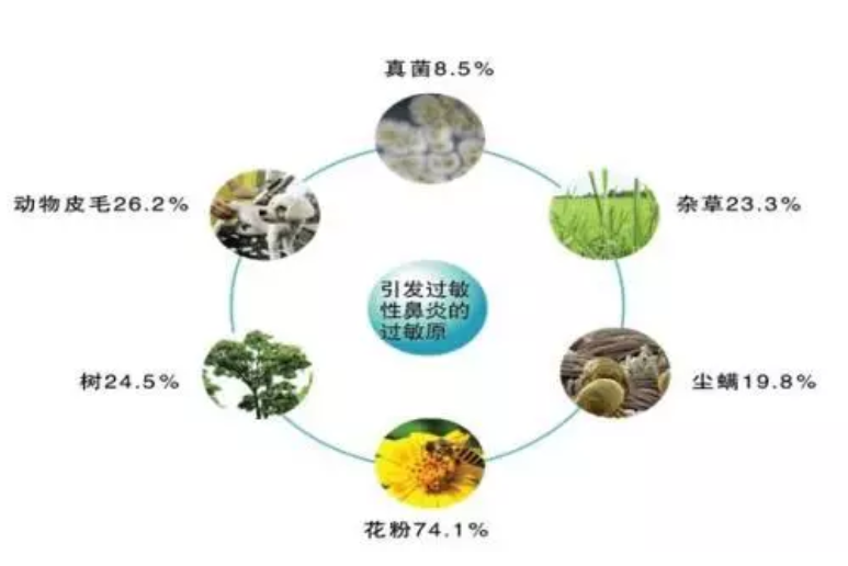 bcc8280ae8ae4a89b83f105fccaab717.png