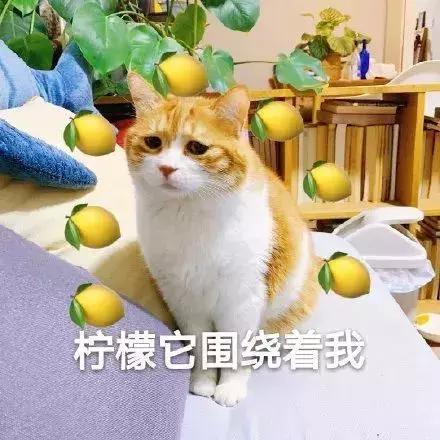 洗钱1个亿给小李子拍电影,这波金融海盗操作