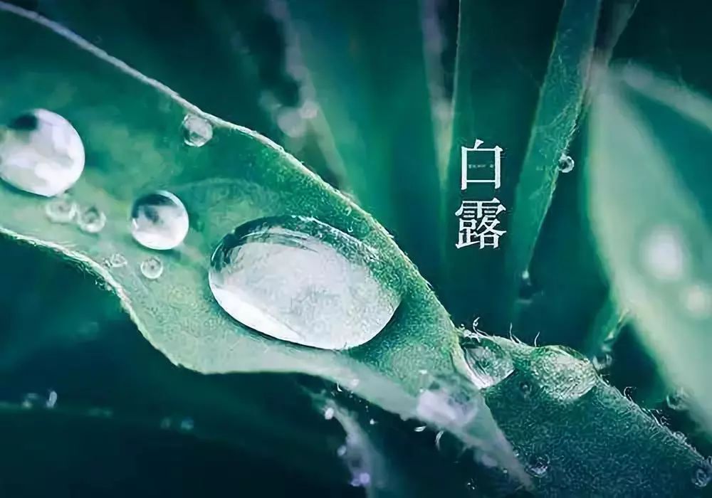 明日白露!临汾将大降温 雨雨雨!最容易生病的15天来了,一定要这样做!