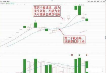 人口龙头股_人口普查(2)