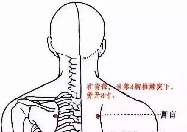这两个宝穴,既可排肾寒,又可通肾精!