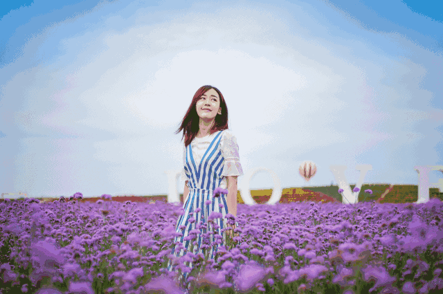 浪漫新密万花成海2019郑州网红花海艺术节9月13日开幕领票啦