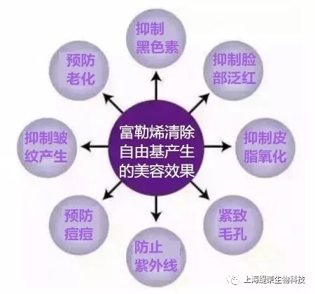 自由基到底是什么图解 d44a8e770469421ba31d0a82f8fcea87.png