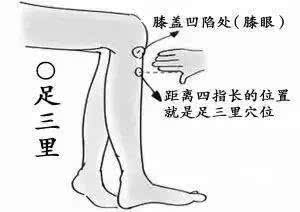 dba93b2562264749b49aebab6a285559.jpeg