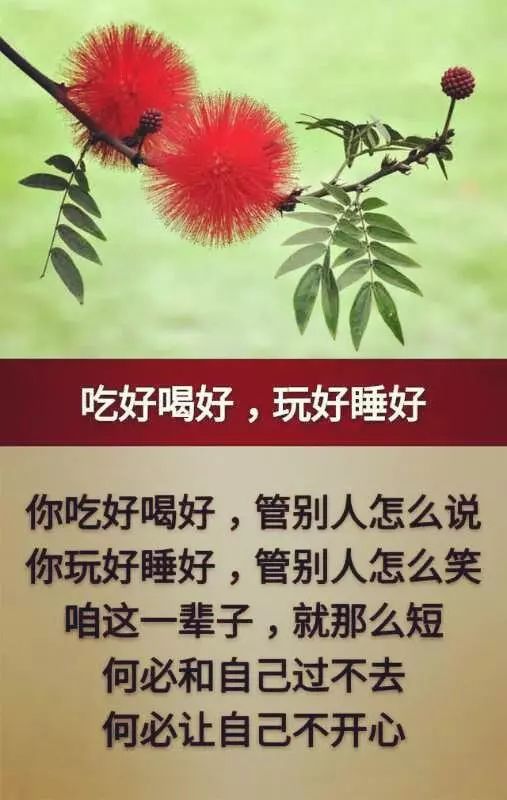 人生苦短,活好当下,且行且珍惜(美文) 返回搜