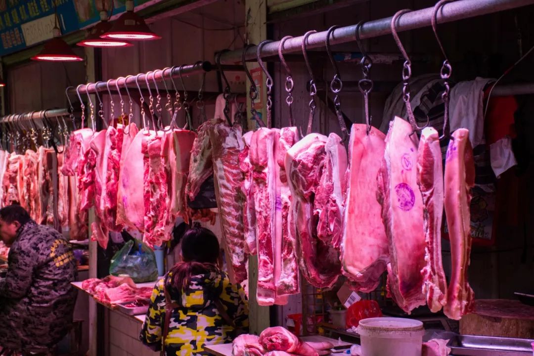 猪肉一天一个价?鄂尔多斯人不用担心,鲈鱼出手了!胃溃疡能喝中央汤吗图片