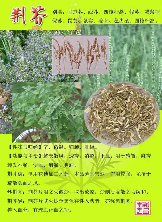 中草药图谱及功效大全 e1a13dcf640948a1bc95d0675648c7d1.jpeg