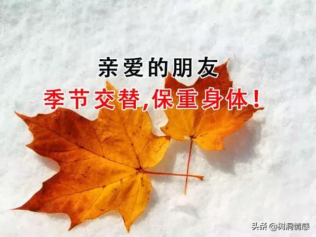 秋来了《想你了》天凉添衣,朋友珍重