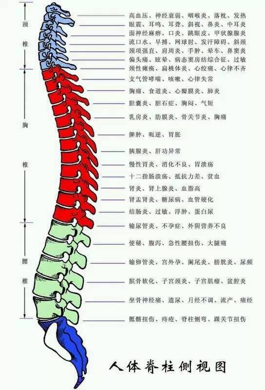 脊柱不正为什么百病生?