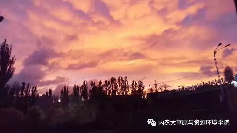 efca2018a4b04689bda346627ec276b2.jpeg