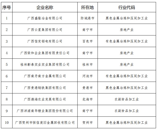 2019广西民营企业100强榜单发布