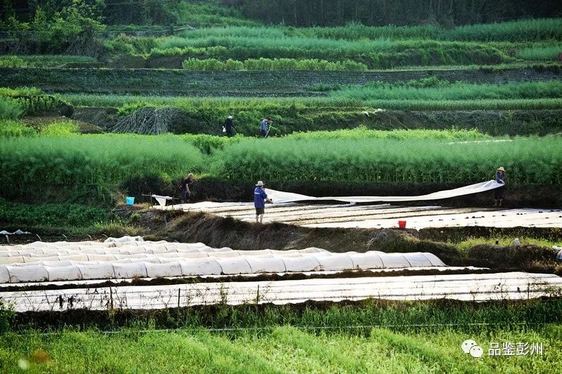 荷塘常住人口_常住人口登记卡(2)