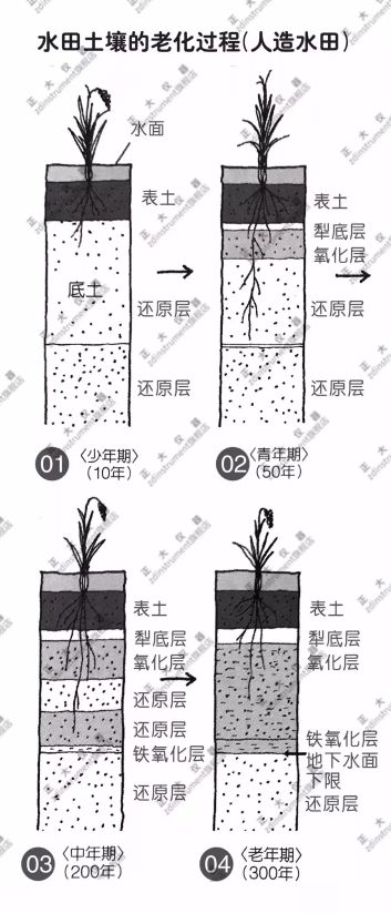 以上举例说明了三种最常见土壤的老化情况. 土壤的类型