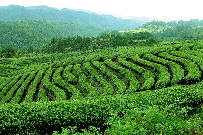 独山人口有多少_南阳独山图片