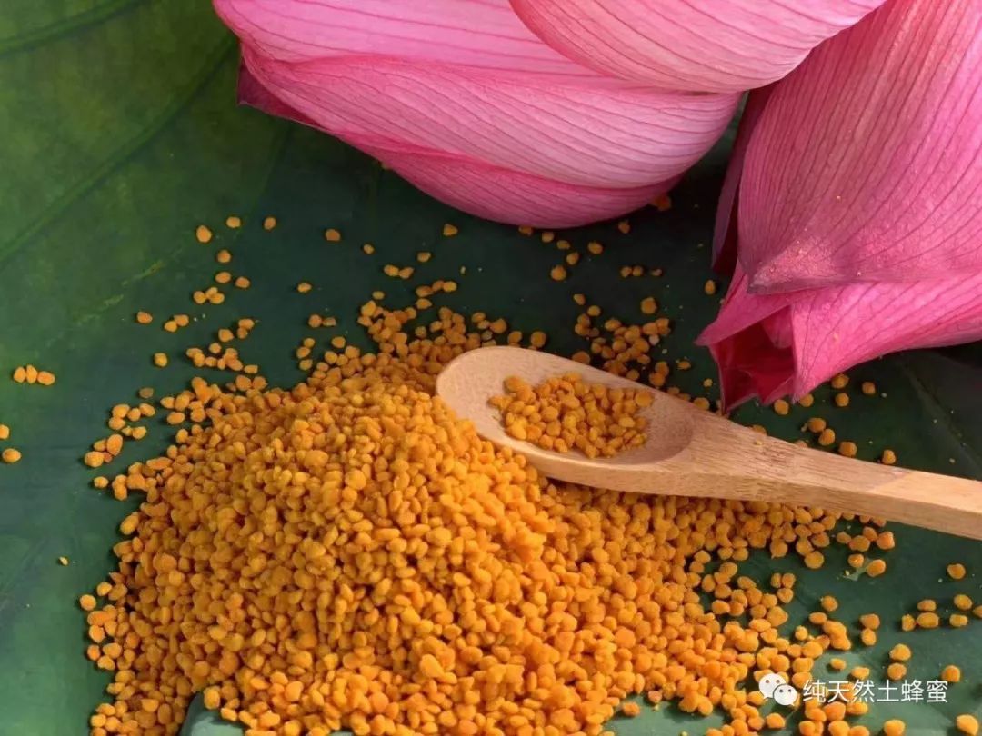 治療 花粉