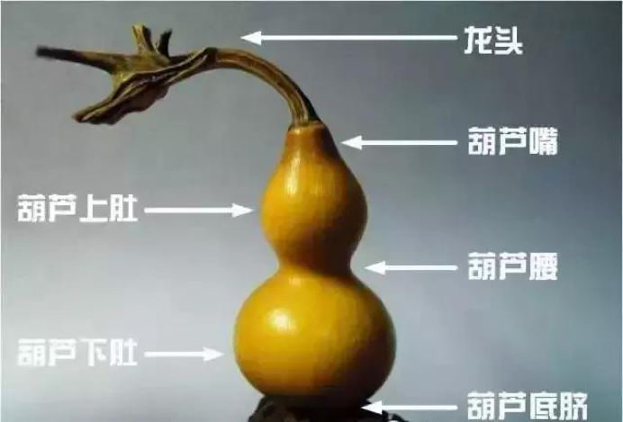 精品三庭葫芦多少钱 00d5427d8f214c32adb994cf0ed29292.jpeg