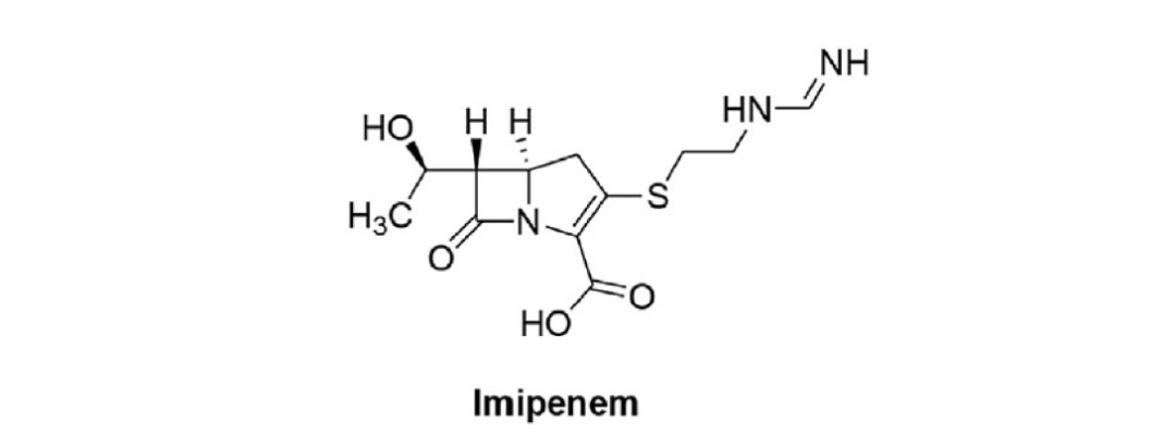 抗菌谱最广的非典型β-内酰胺类抗生素—碳青霉烯类抗生素家族概览