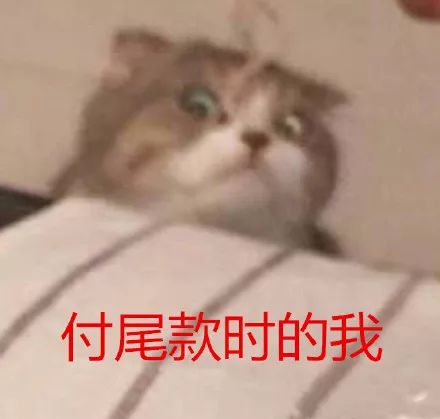 17dcd18825b447b690d12f8e942d8880.jpeg