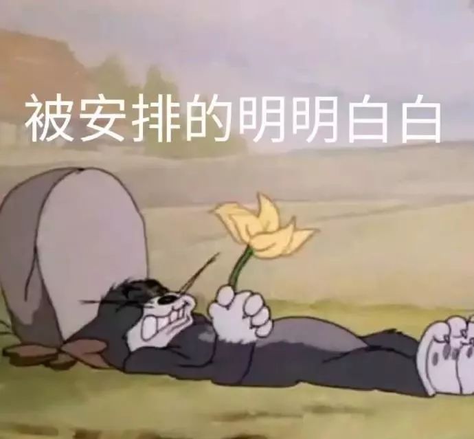 猫和老鼠表情包 | 走出六亲不认的步伐