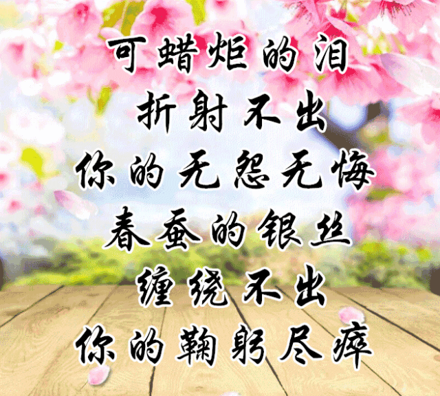 今日教师节,一首《感恩的心》送给天下所有辛勤付出的