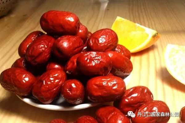 红枣什么人群不能吃 296dce5e3eca459589939456c88e496d.jpeg