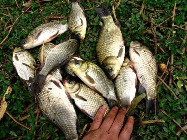 刮什么风钓鱼最难钓 2c1d1407463e44229433e7ed9b55f3d5.jpeg