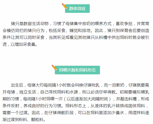 怎么做信息部 37f335c62ce84e00b003f3fa16b78033.png