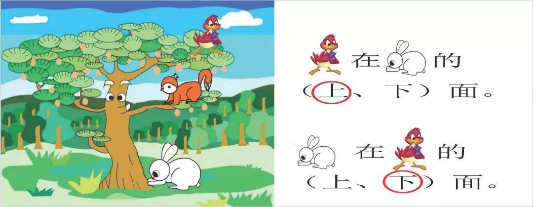 人教版一年级上册位置《上下前后》分辨重点 课后习题