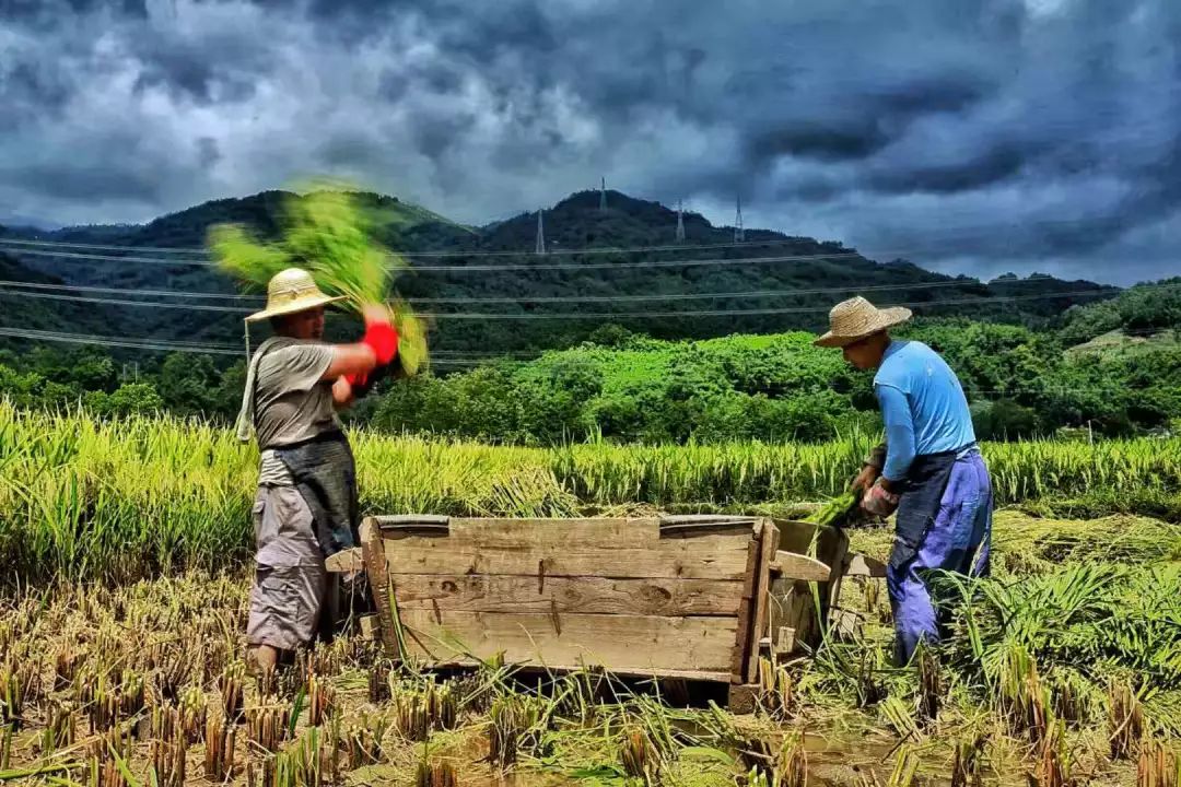 农民人口_中国农民人口数量是多少(3)